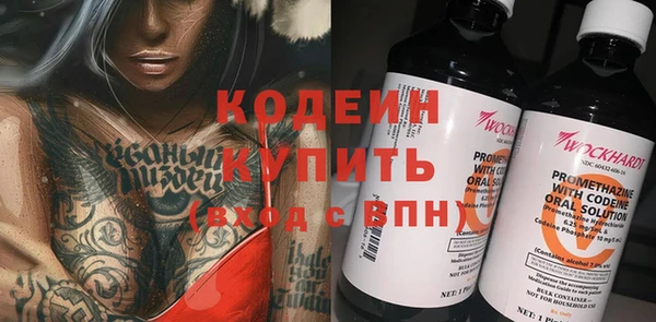 индика Кулебаки