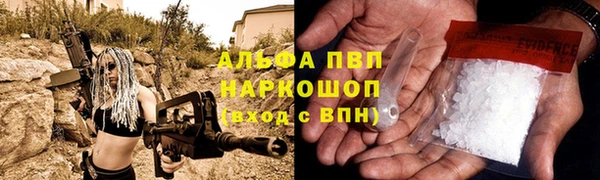 ешки Ладушкин