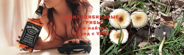 a pvp Лагань