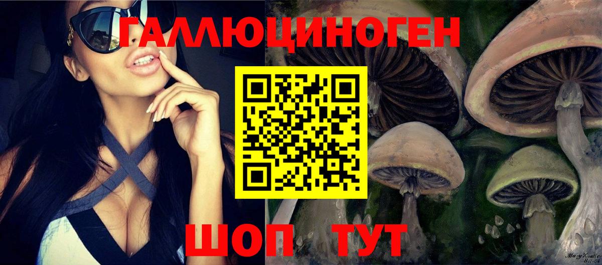 Мценск  Галлюциногенные грибы Psilocybine cubensis  сколько стоит  Вход с VPN  Галлюциногенные грибы Cubensis 