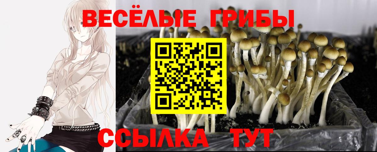 Галлюциногенные грибы мицелий Мценск